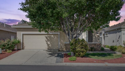 280 Black Amber Way, Brentwood, CA 94513 3D Model